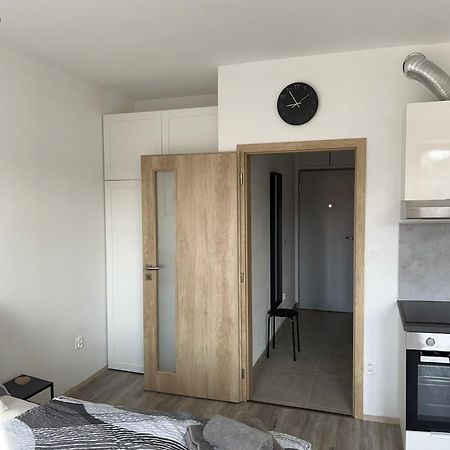 Apartman U Tedyho Apartment Kasperske Hory Luaran gambar